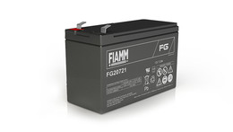 Battery World Service Cannes - Batterie 12v 60ah 600a - Fiamm